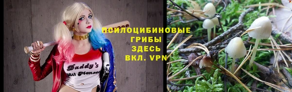 молекула духа Аркадак