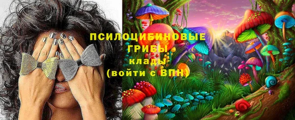 молекула духа Аркадак