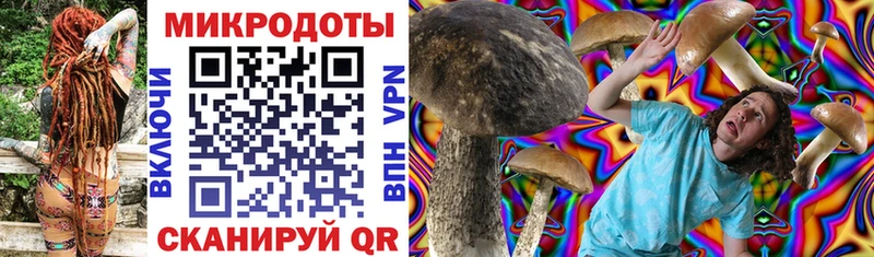 Галлюциногенные грибы Psilocybe  Дегтярск 